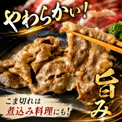 鳥取県産牛 定期便 6ヶ月コース