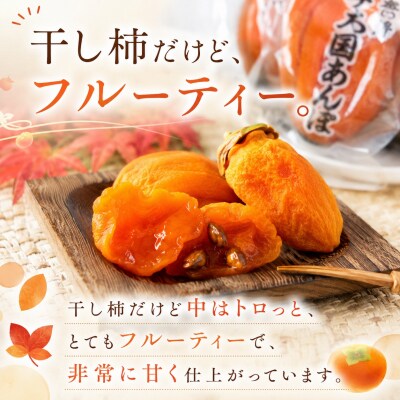西条あんぽ柿(個包装)