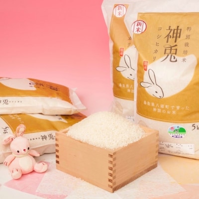 【令和7年産米】特別栽培米コシヒカリ「神兎」20kg