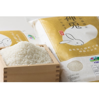 【令和7年産米】特別栽培米コシヒカリ「神兎」20kg