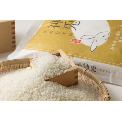 【令和7年産米】特別栽培米コシヒカリ「神兎」20kg
