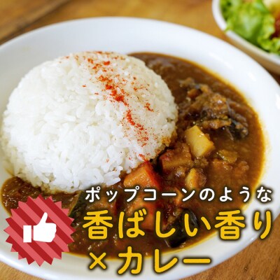 カレー専用米“プリンセスかおり”5kg(無洗米)