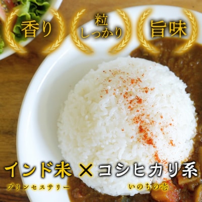 カレー専用米“プリンセスかおり”5kg(無洗米)