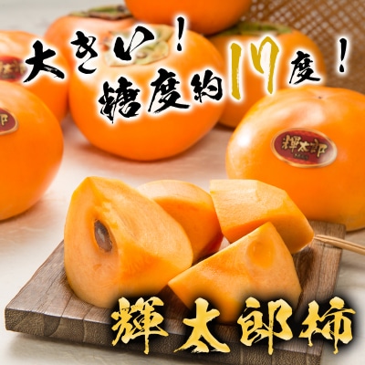 鳥取県オリジナル品種「輝太郎柿」3kg