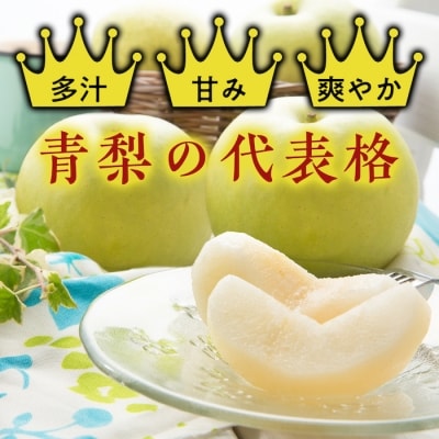 【2026年発送】二十世紀梨(赤秀) 2.4kg