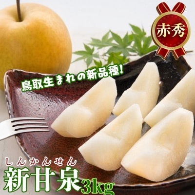 【2026年発送分】新甘泉(赤秀) 3kg