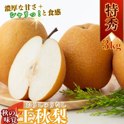 【2026年秋以降発送】秋の味覚「王秋梨」 (特秀) 3kg