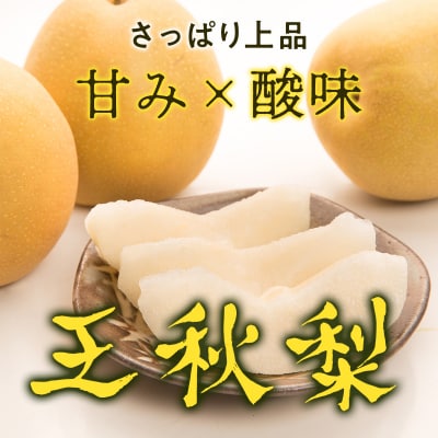 【2025年発送分】秋の味覚「王秋梨」 (特秀) 5kg