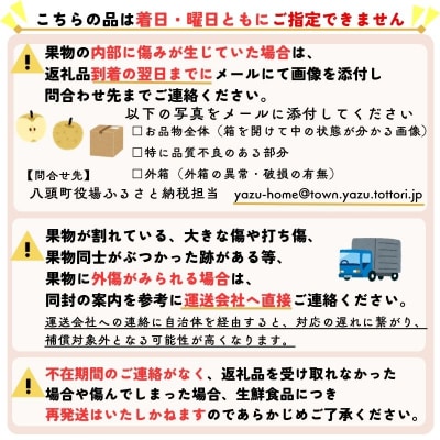 【2026年発送分】秋の味覚「王秋梨」 (赤秀) 5kg