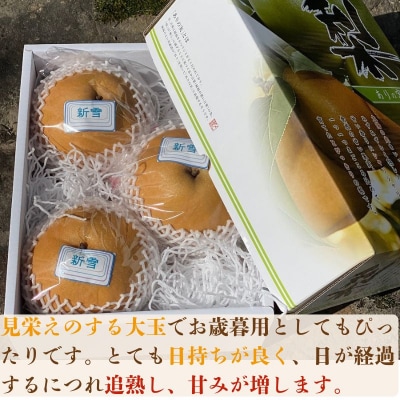 冬に食べられる梨　新雪梨(特秀) 3kg