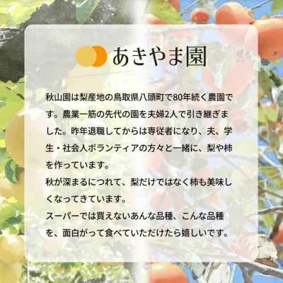 冬に食べられる梨　新雪梨(特秀) 3kg