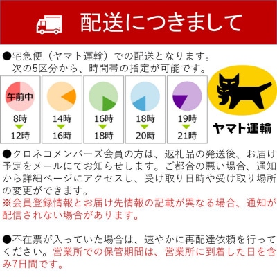 冬に食べられる梨　新雪梨(特秀) 3kg