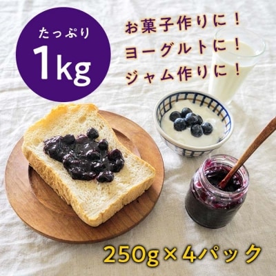 【期間限定】完熟有機ブルーベリー1kg
