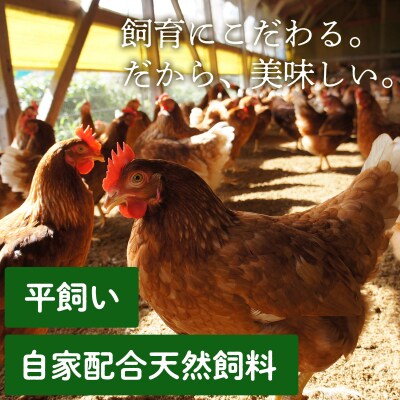 【天美卵】おいしい玉子かけご飯詰め合わせ