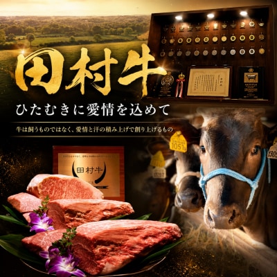 田村牛 極上モモステーキ