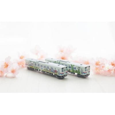 【鉄道模型】若桜鉄道WT3000形2両セット