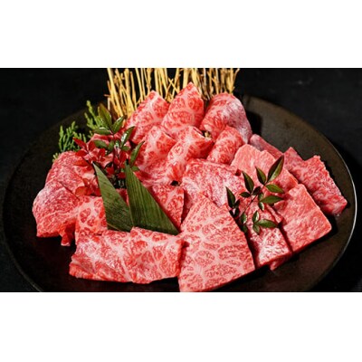 【鳥取和牛】焼肉用特上赤身肉