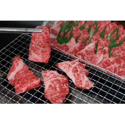 【鳥取和牛】厚切りタンステーキ・焼肉セット