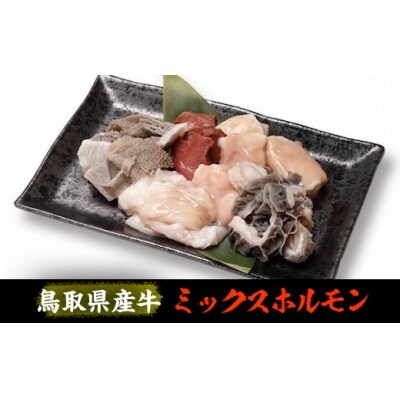 鳥取県産牛 ミックスホルモン600g(味噌だれ付)