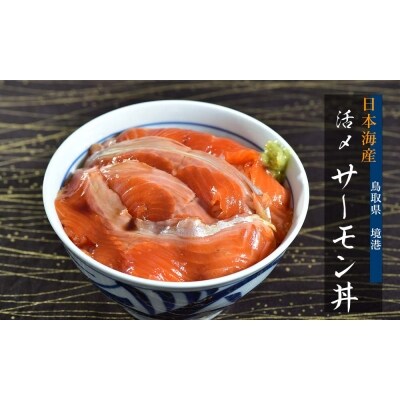日本海産活〆サーモンの昆布締め