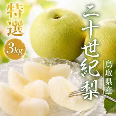 【2027年発送分】二十世紀梨 特選3kg