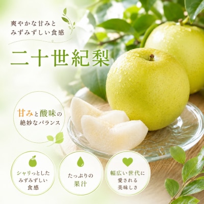 【2027年発送分】二十世紀梨 特選3kg