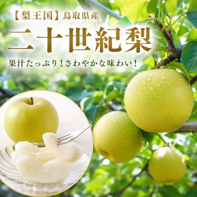 【2027年発送分】二十世紀梨 特選3kg