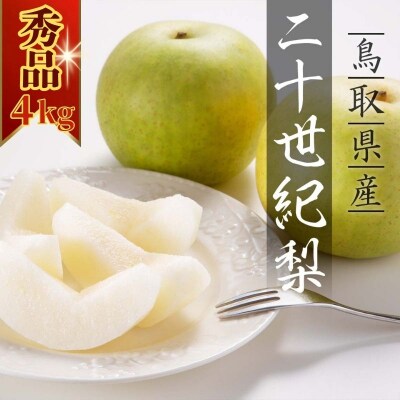 【2026年発送】二十世紀梨 秀4kg