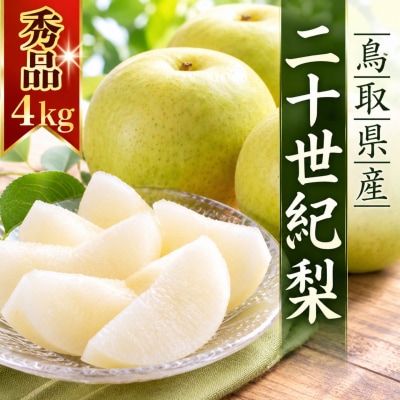 【2027年発送】二十世紀梨 秀4kg