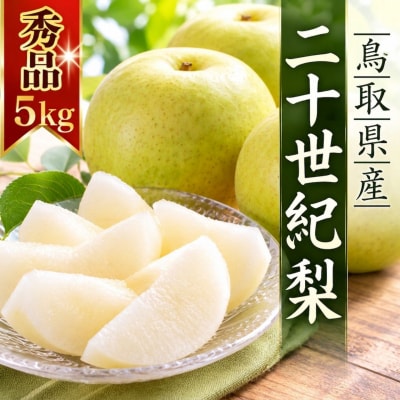 【2027年発送分】二十世紀梨 秀5kg