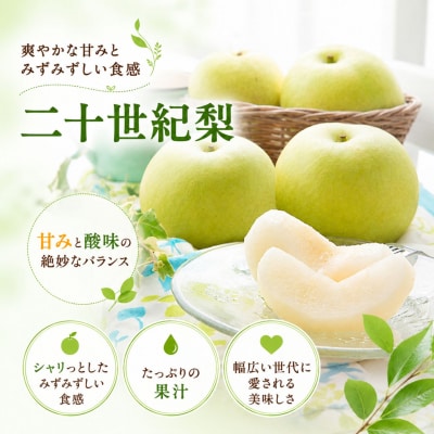 【2027年発送分】二十世紀梨 秀5kg