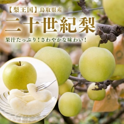 【2027年発送分】二十世紀梨 秀5kg