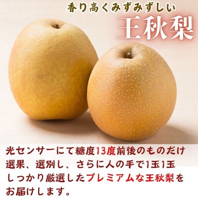 プレミアム王秋梨 3kg
