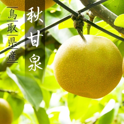 【2026年発送分】プレミアム秋甘泉 3kg