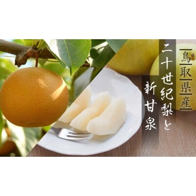 二十世紀梨と新甘泉のセット 3kg | ふるさと納税のお礼品