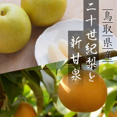 二十世紀梨と新甘泉のセット 3kg
