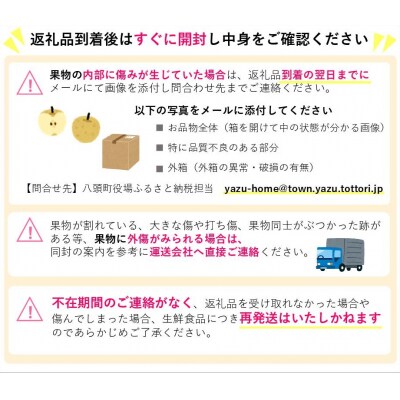 二十世紀梨と旬の赤梨セット 4kg