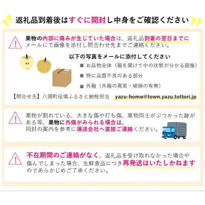 二十世紀梨と旬の赤梨セット 5kg