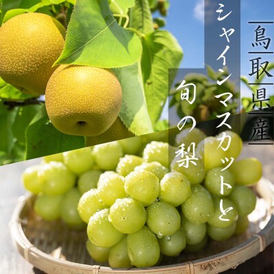 シャインマスカットと旬の梨セット(小)