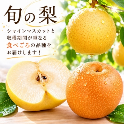 シャインマスカットと旬の梨セット(小)