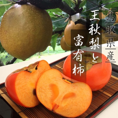 王秋梨と富有柿のセット 5kg