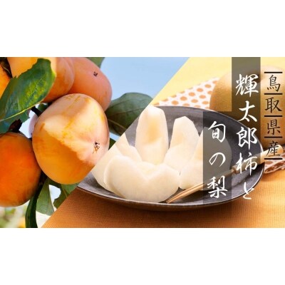 輝太郎柿と旬の梨セット 3kg