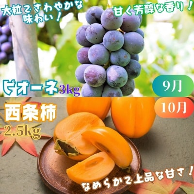 【2027年発送分】八頭のフルーツプレミアムコース