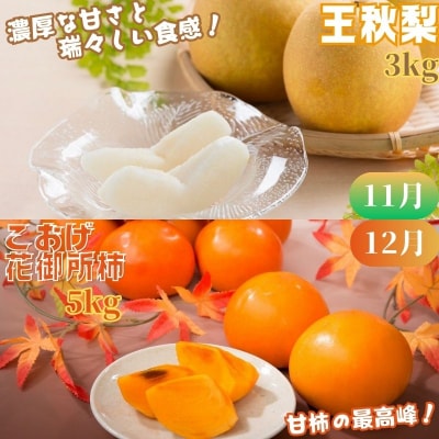 【2026年発送分】八頭のフルーツプレミアムコース