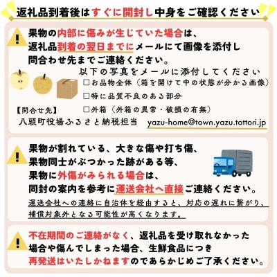 【訳あり】二十世紀梨 4kg