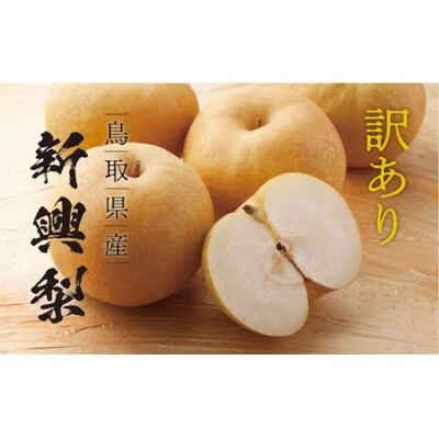 【訳あり】新興梨　5kg | ふるさと納税のお礼品
