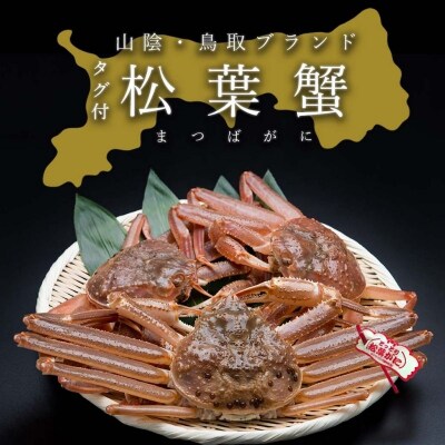 【活き】タグ付き松葉ガニ　中2枚(500～640g前後/枚)