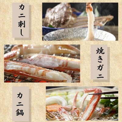 【活き】タグ付き松葉ガニ　中2枚(500～640g前後/枚)