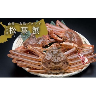 【活き】タグ付き松葉ガニ　大1枚(800～940g前後)