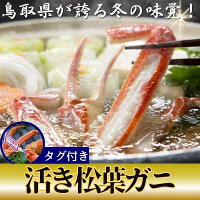 【活き】タグ付き松葉ガニ　大2枚(800～940g前後/枚)